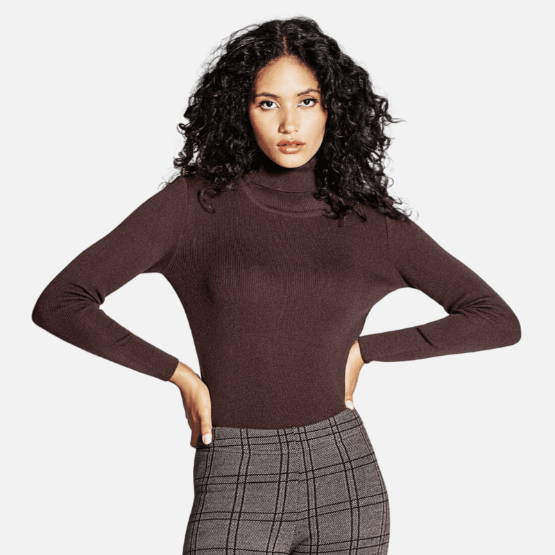 blusa-basica-de-gola-alta-feminina-inverno-de-la-lazzari-marrom--1-