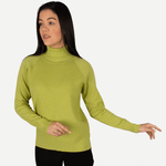 blusa-feminina-gola-alta-de-inverno-ippolita-verde